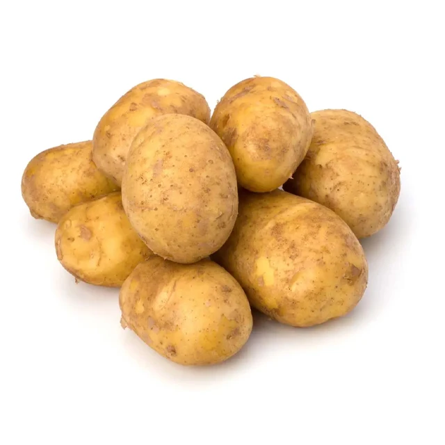 New Crop Holland Potato Seed/ Potato Wholesale Buyers/ Yellow Fresh Potato Prices
