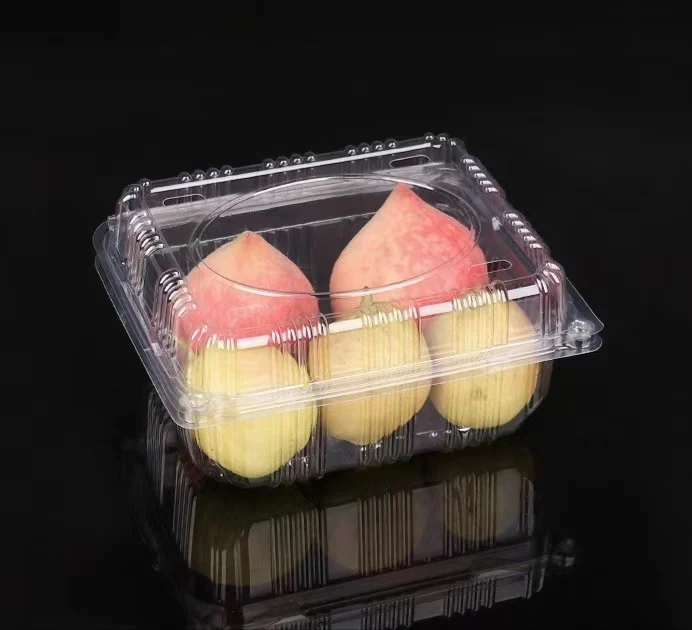 Вакуумный контейнер для пищевых продуктов