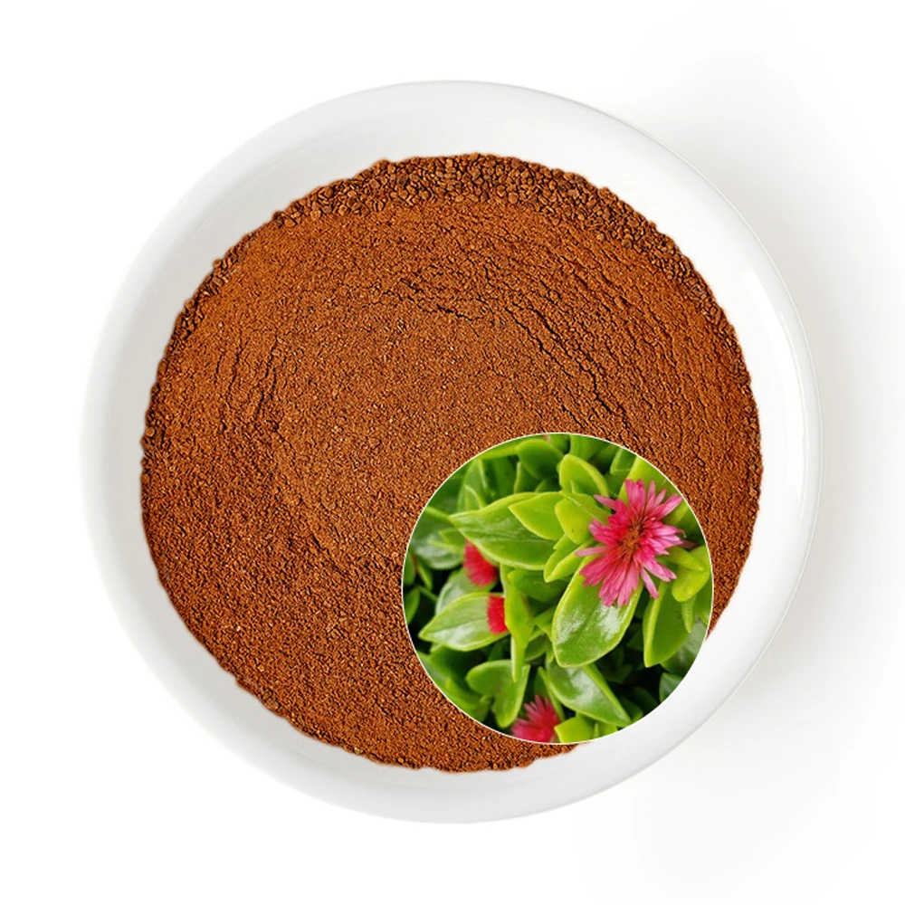 Durlevel Supply Andrographis Extract 10:1 20:1 30:1 50:1 Pure Andrographis Paniculata Extract Powder