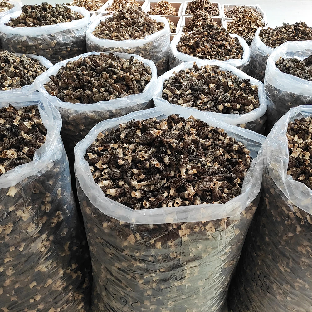 High Grade  Wholesale Price Morchella Esculenta Morchella Conica  Morel Mushroom Conica  Morel Mushroom Black mushroom