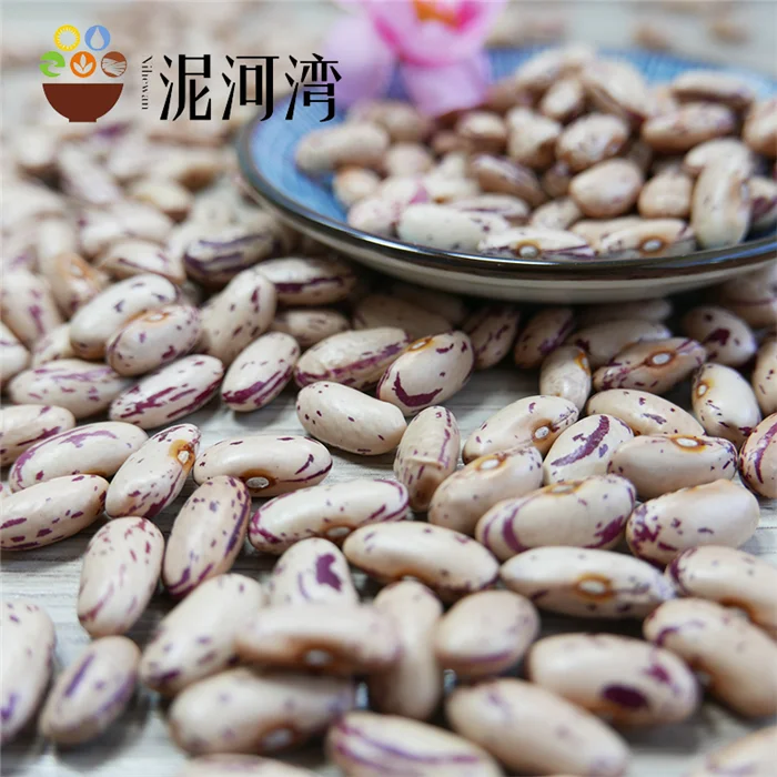 New Crop LSKB Long Shape Organic Dried Pinto Light Speckled Kidney Beans