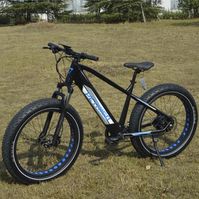PETRIGO 26 Inch Snow Electric Bike with New Design Hidden Battery Fat Tire Electric Mountain Bicycle High speed E-Bike
