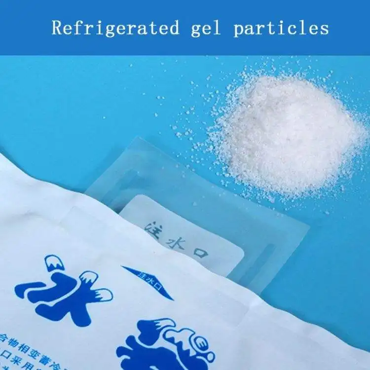 Water Injected Ice Pack Reusable Shipping Transportation Cooling Ice Gel Pack Dry Ice Bag For Food