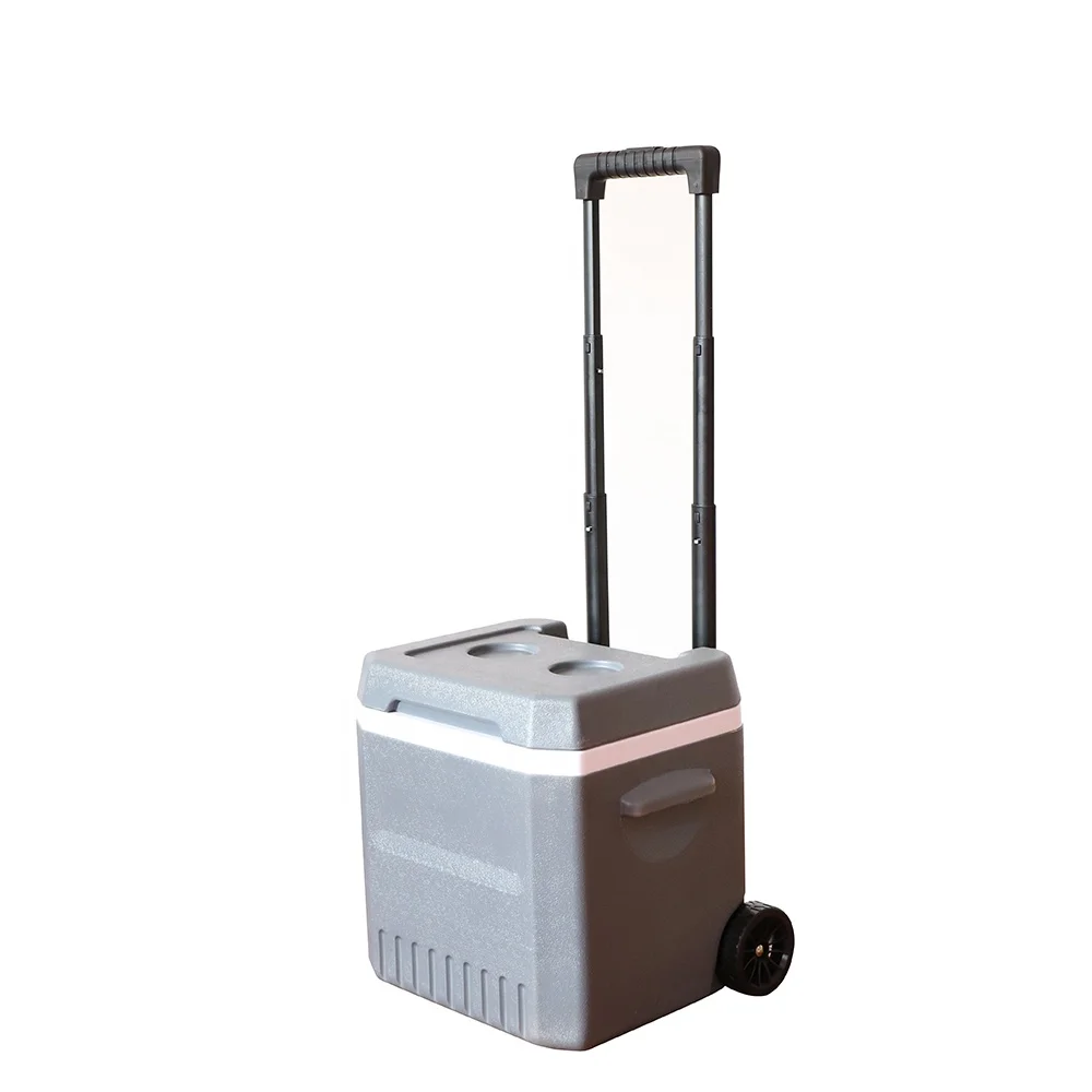 Reusable Insulated Plastic Outdoor Ice Box Portable Beer Can Drinking Cold Storage Bag Vacuum Insulated Panel Cooler Box
