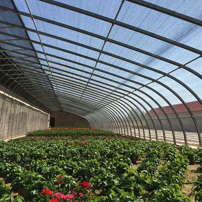  Solar greenhouse for agriculture