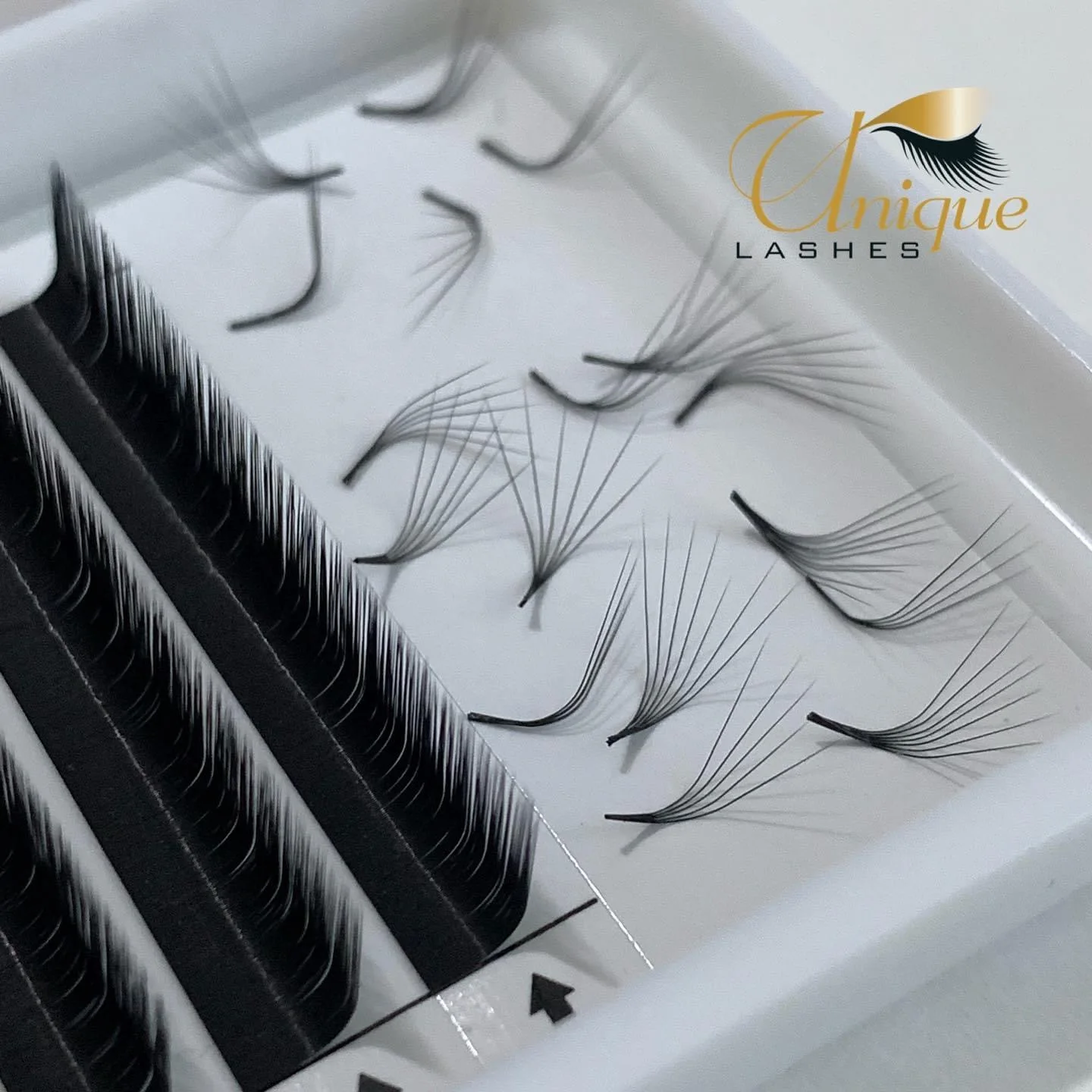 Private Label eyelashes easy fan lash extensions cashmere eyelash extensions L M curl  volume  eyelash extension