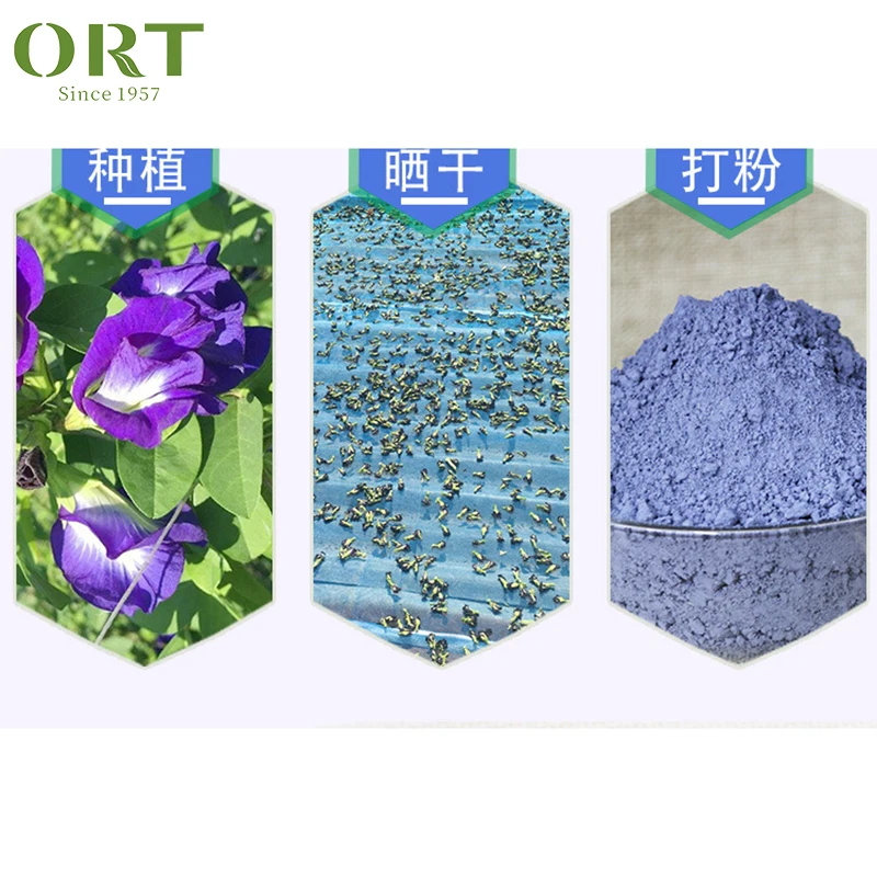 Butterfly pea flower tea blue matcha