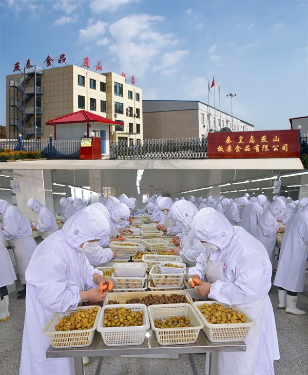 Yanshan Chestnut.jpg