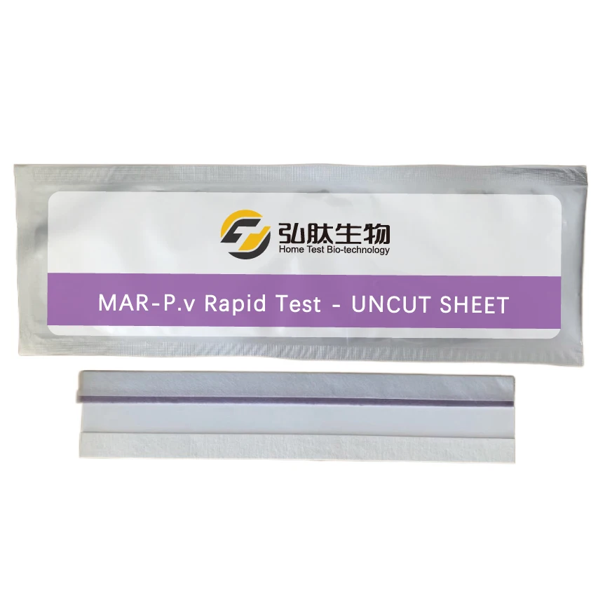 
MAR-P.v Rapid Test Uncut Sheet OEM/ODM Service Label 6cm 30cm 8cm 30cm Test Uncut Sheet 