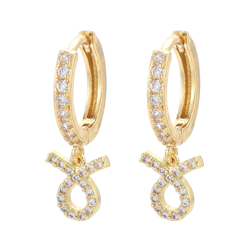 12 Horoscope Zircon Zodiac Hoop Earrings Christmas Gift Eyika White Cz Jewelry