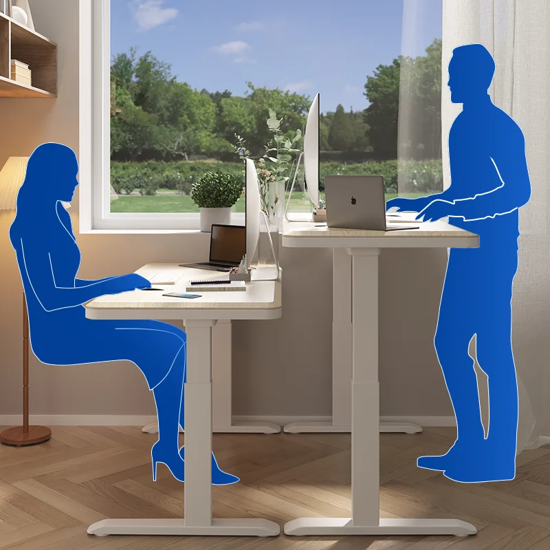 Office Automatic Dual Motor Computer Electric Table Home Height Adjustable Smart Sit Stand Desk