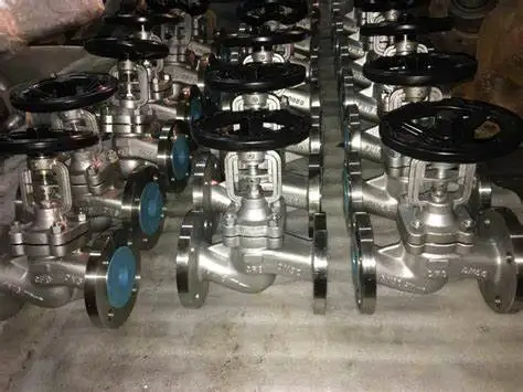 
DIN double seal bellow globe valve flanged ends WCB CF8 CF8M 