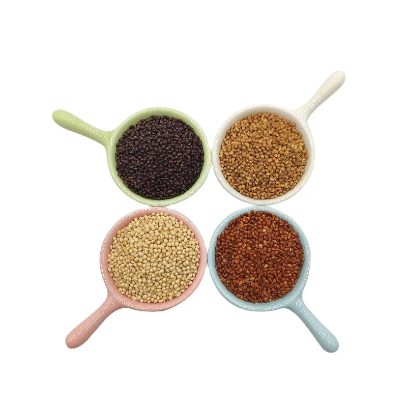 Yellow White Red Black Broom corn Millet grains millets Broom corn Millet