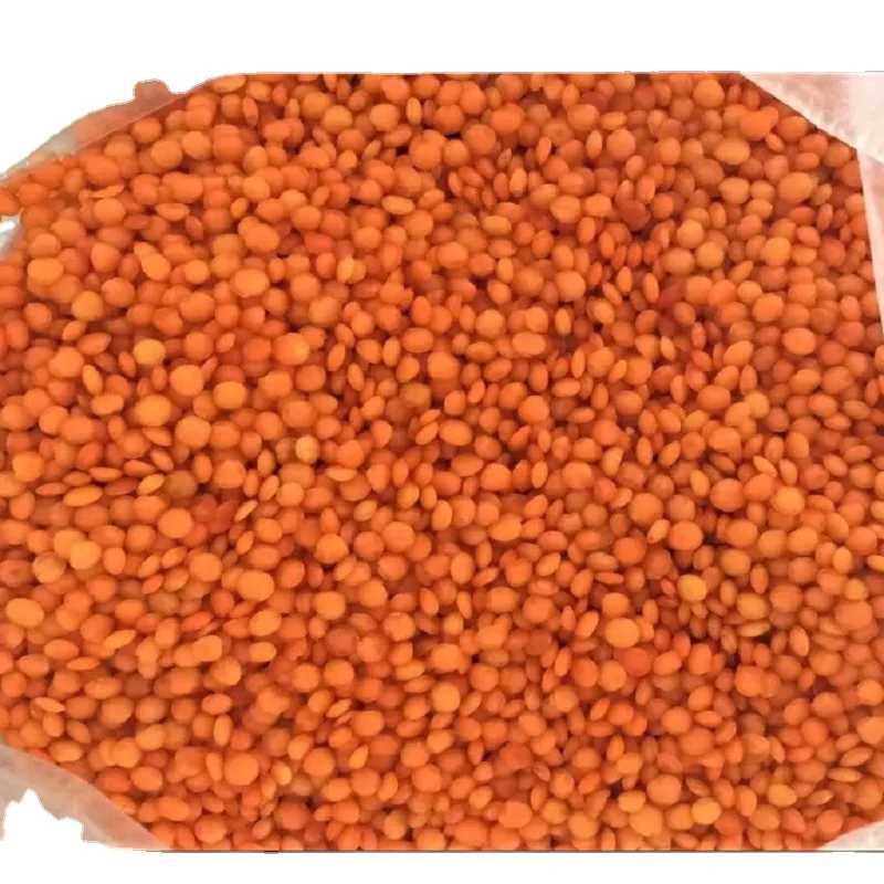 CHEAP CANADA RED AND GREEN LENTILS FOR SALE
