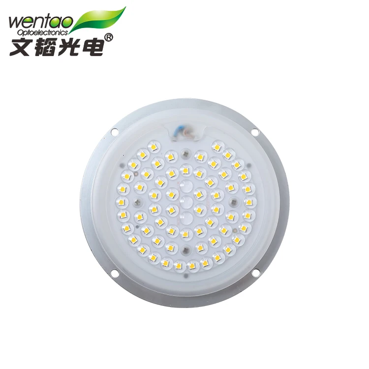 wholesale price 50W 60W  Aluminum LED Module for garden light and landscape lamp