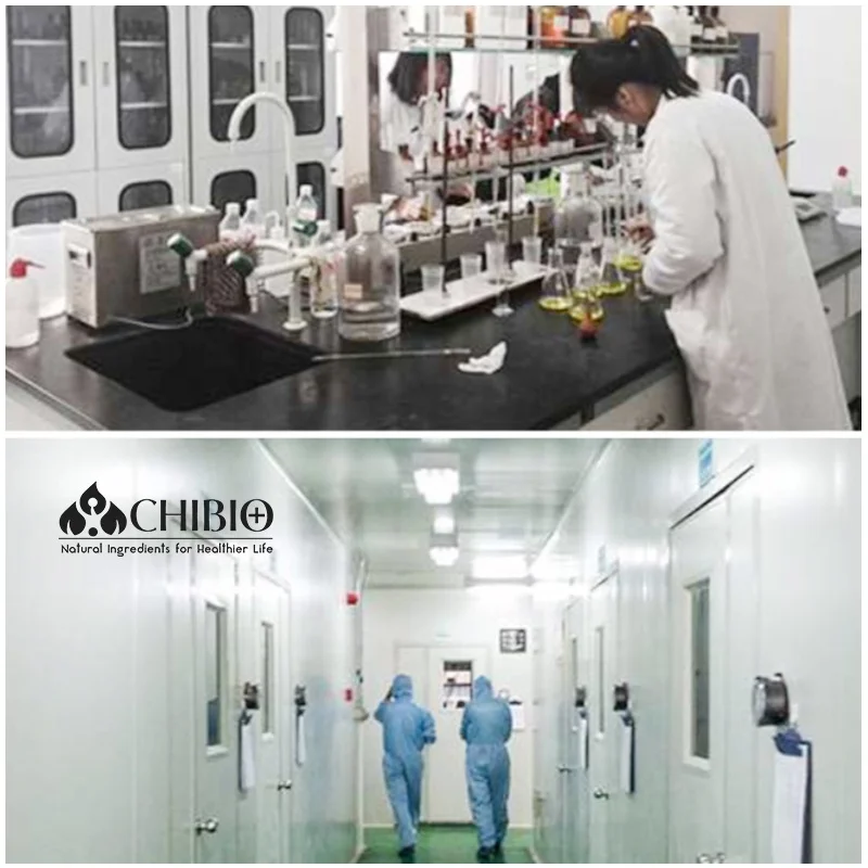 10-80 200-300 mPa.s ISO Kosher Water Soluble Mushroom Carboxymethyl Chitosan for Wound Care Healing Hemostatic Cosmetics Pharma