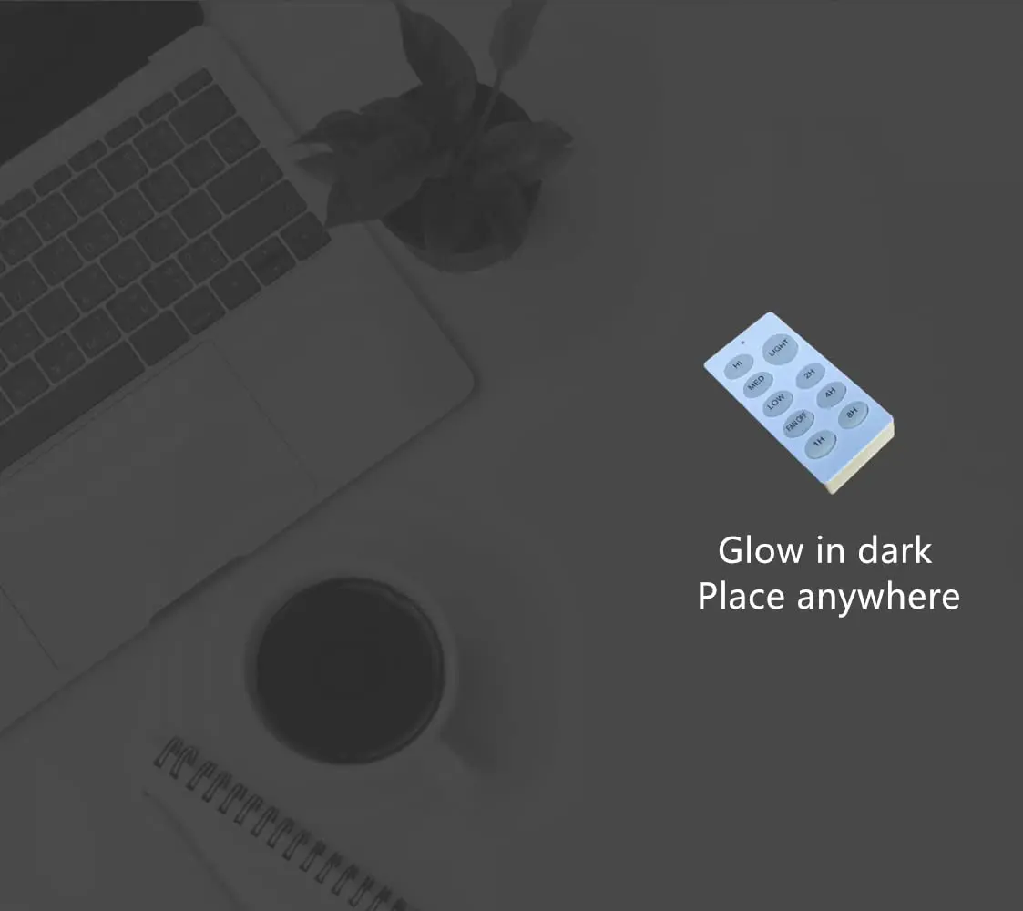 Fan Lamp Remote Controller