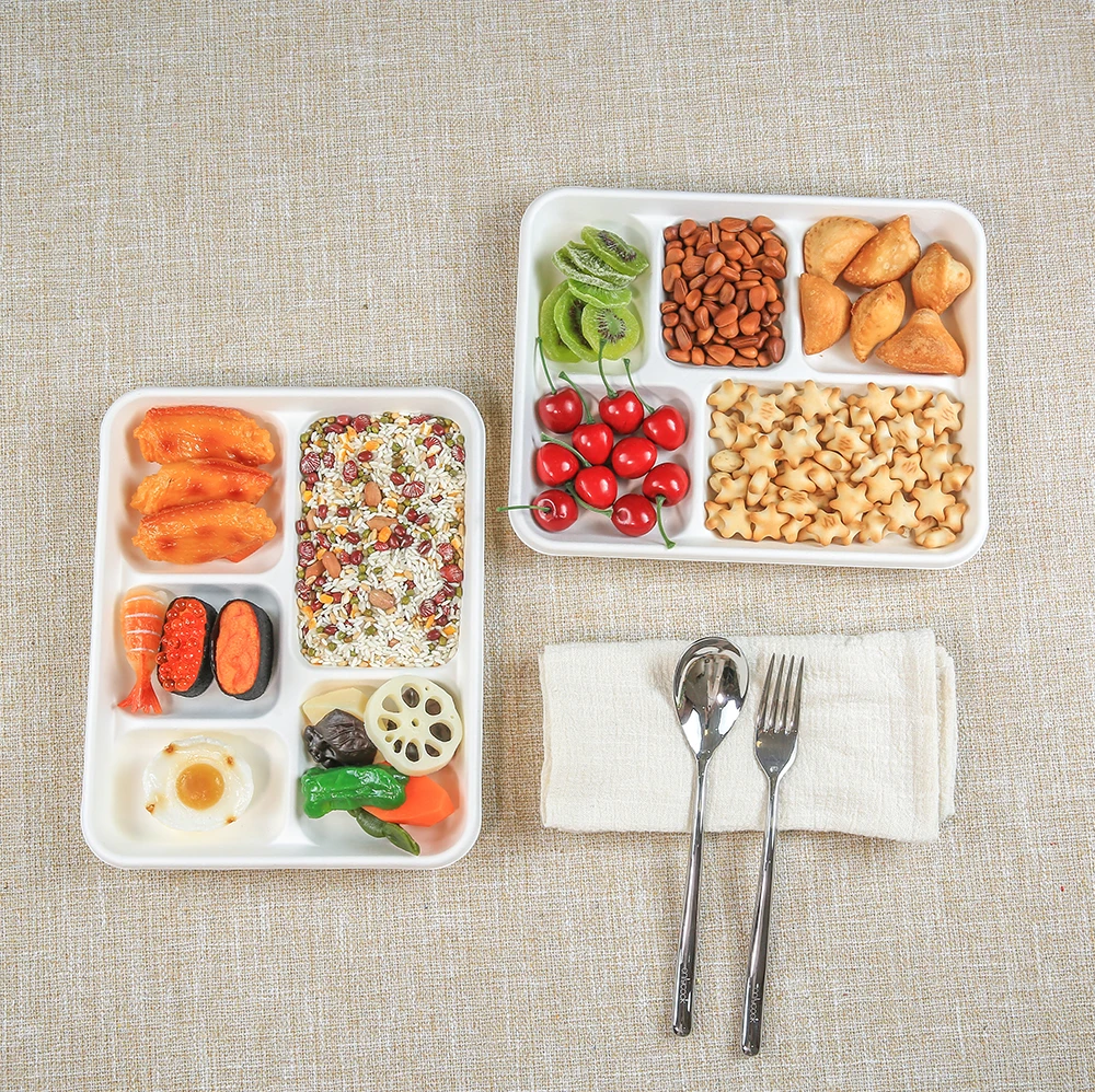 Biodegradable sugarcane bagasse pulp disposable rectangular food tray serving moulded pulp packaging food tray