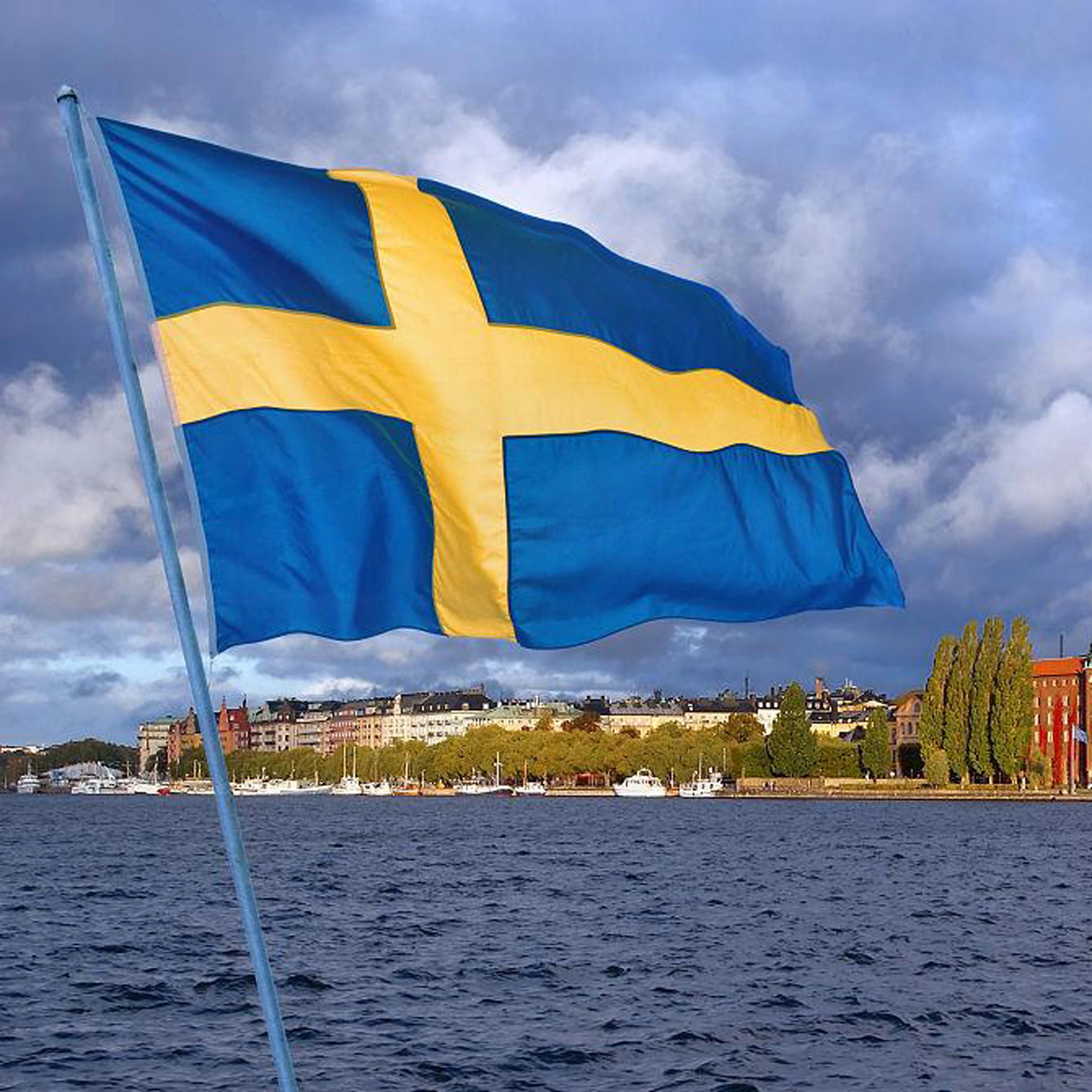 Custom Flag of Sweden Unique Design Hand Sewn Nylon Flag High Quality Materials Size - 3x5 Ft 90x150 cm