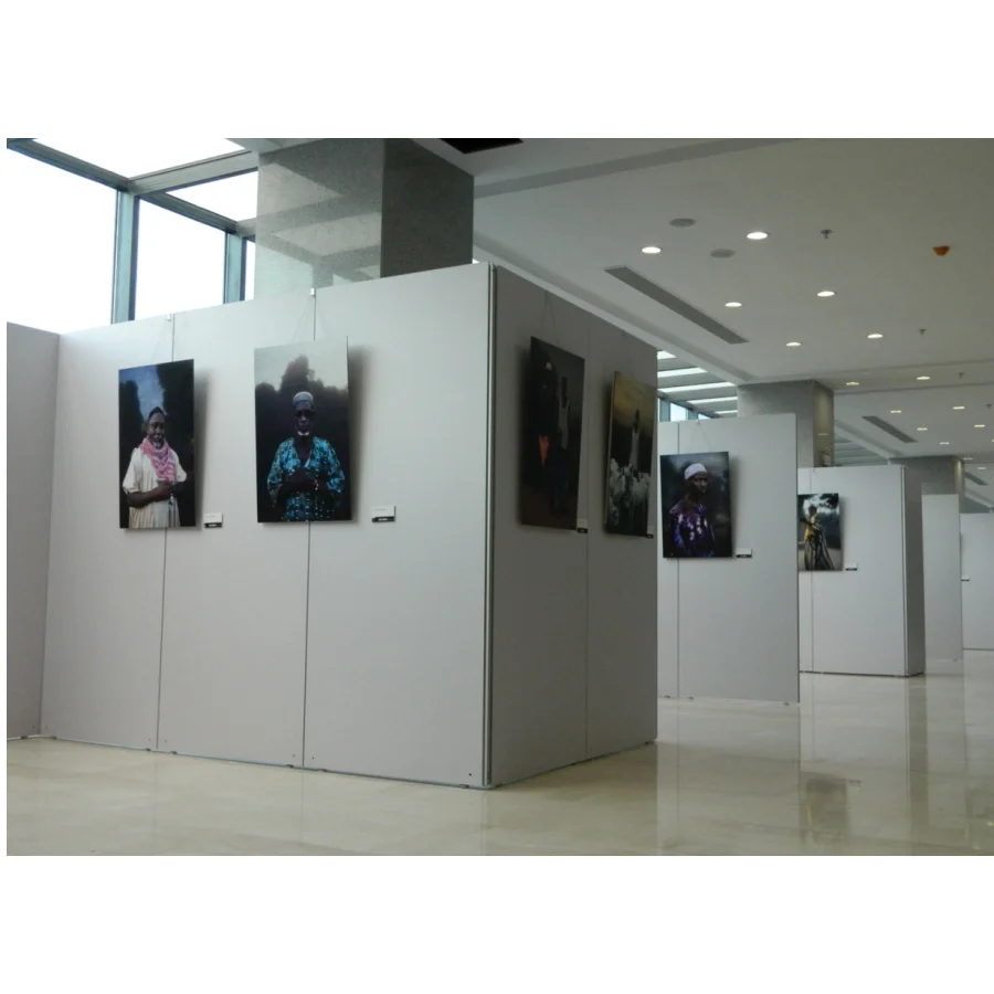 (53) LINGTONG 40mm Customized Modular Easy Installed  Wall Panel  for Art Show,Gallery,Display Stand, Exhibition,Museum