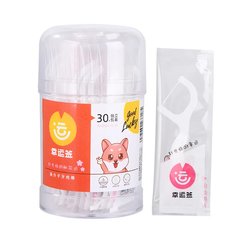 Private Label Eco Friendly Dental Flosser Toothpick Pick Plastic with 30pcs portable individual packaging OEM Customized