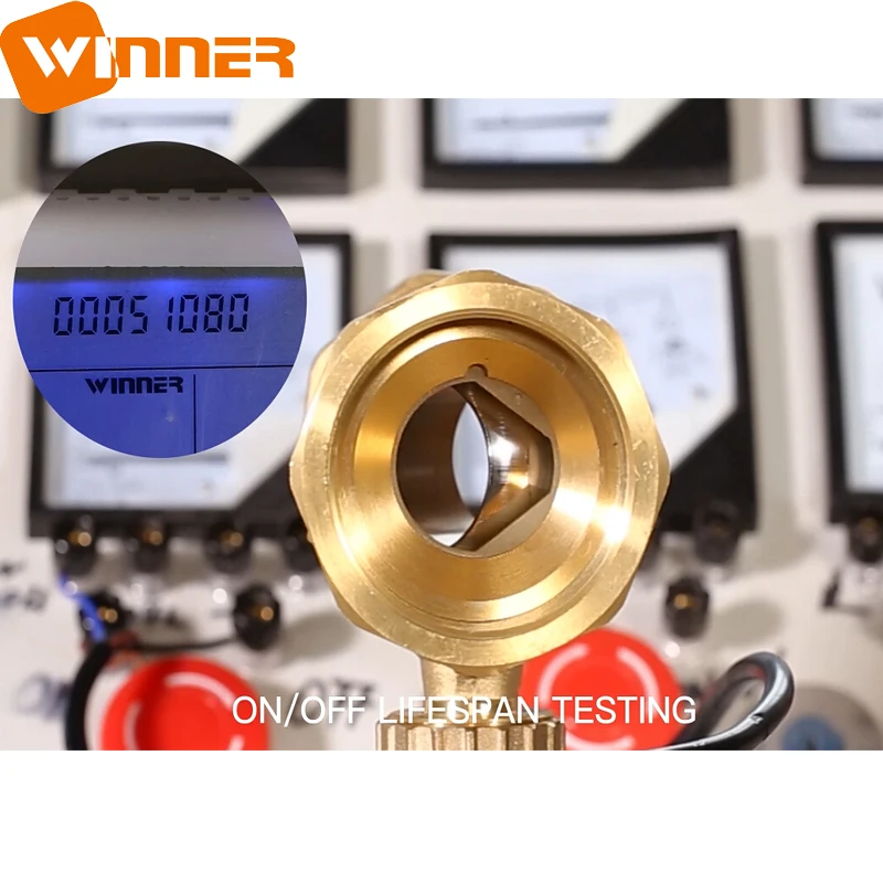 Winvall 110V Actuator 2 way Electric Valve Motorized Actuated Brass Ball Valve FCU Two Way Water Flow Control Valve PN20 600WOG