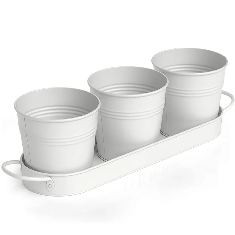 Herb pot planter set with tray for home balcony succulent potted plants