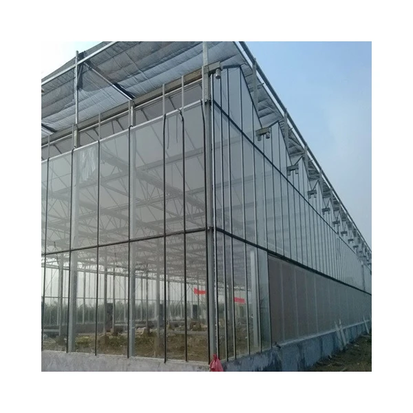 Glass Greenhouse with Hydroponic Growing System Large Water Cultivation Containers Green houses China Large Solar Panel JM