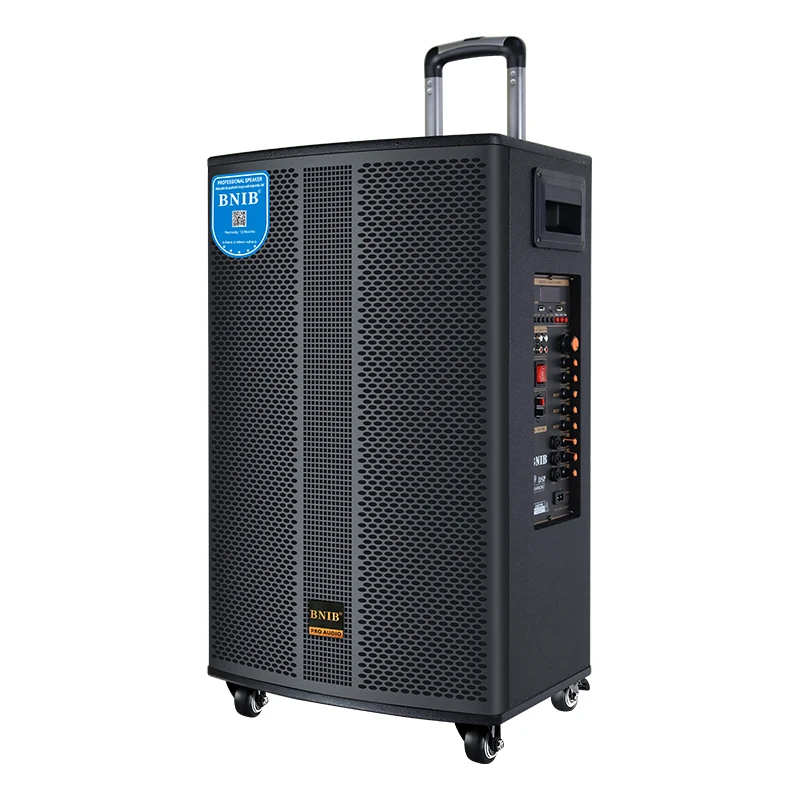 12 Inch Home Theatre System karaoke Bluetooth Speaker Subwoofer Sound Box trolley Speaker