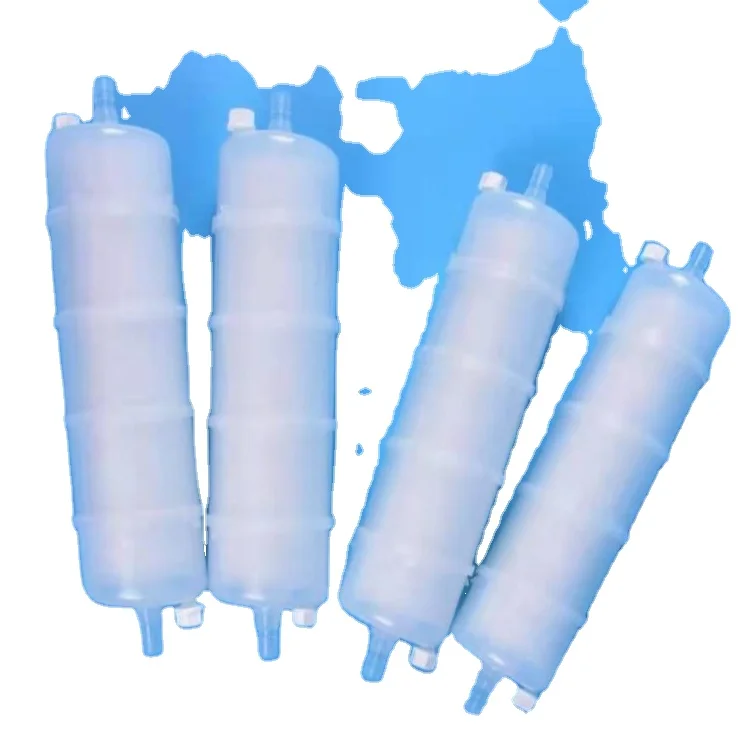 10 inch 0.45/0.2 um double layer Hydrophilic PVDF membrane capsule filter for sterile filtration in pharma or cosmetic industry