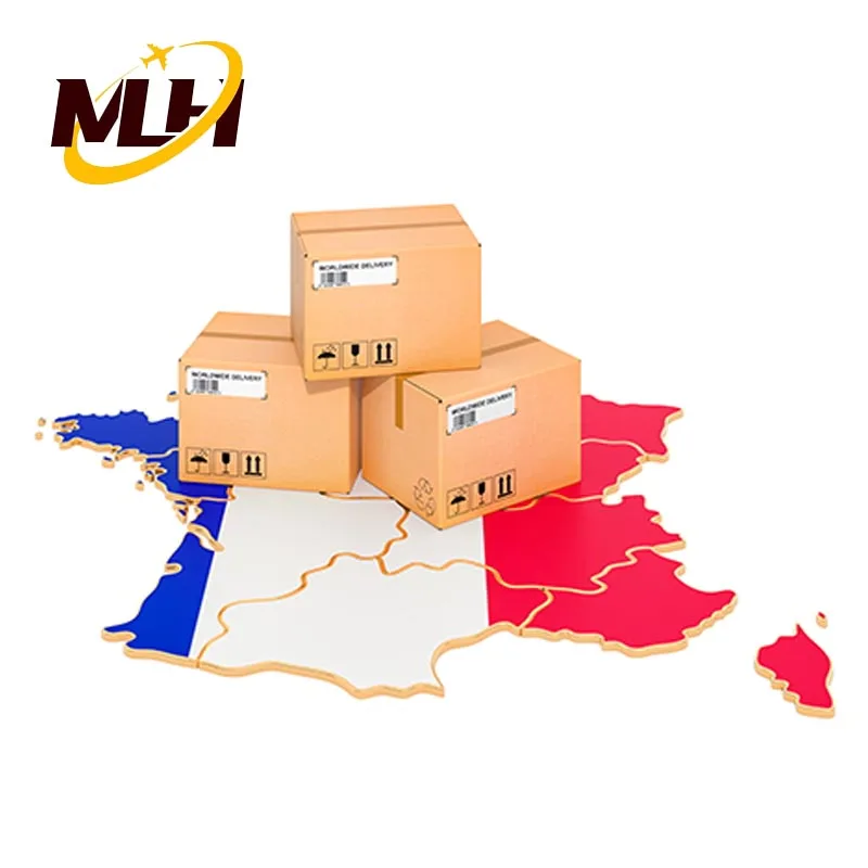 Sea shipping Logistics Agent Company 20FT 40FT Shipping From China To France