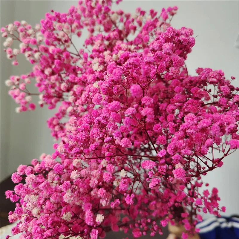 Сконсервированный детский цветок для свадьбы 1 пачка 100-120 г ручной работы для домашнего использования