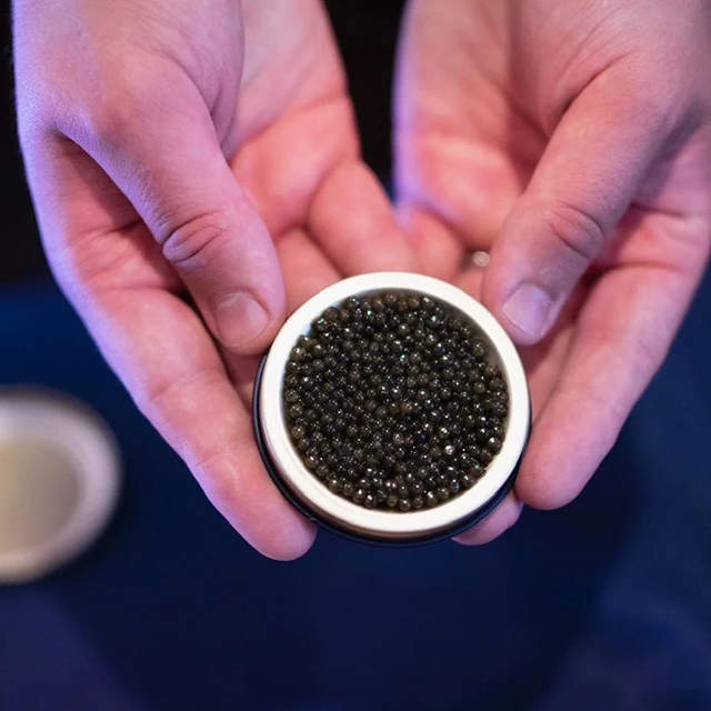 Икра Белуга осетровая Икра Золотая Икра осетр стандарт