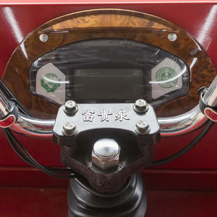 Electric Type Family Truck Cabin Cargo Tricycle 3 Wheel Adults