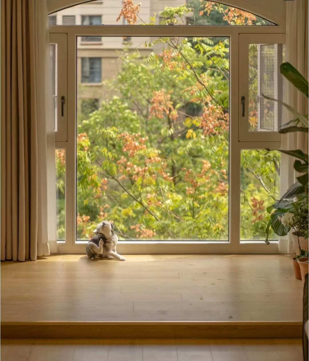 Stylish and Practical Aluminium Swing Casement Windows