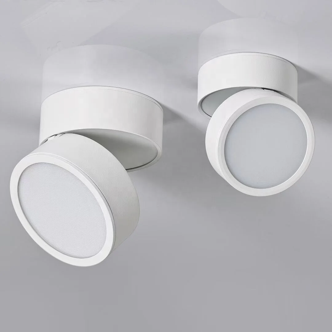 New arrival ceiling lights LED downlight surface mounted 10w handy brite decorative spotlight two heads adjustable