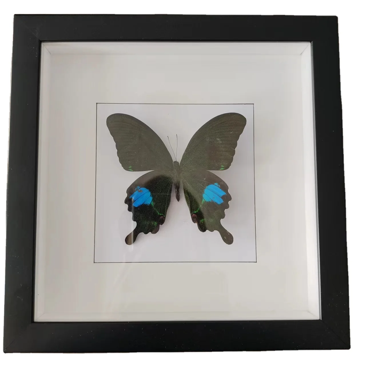 Autumn Best Selling Black White MDF deep Shadow Box Frames 3D box photo frame art picture frame