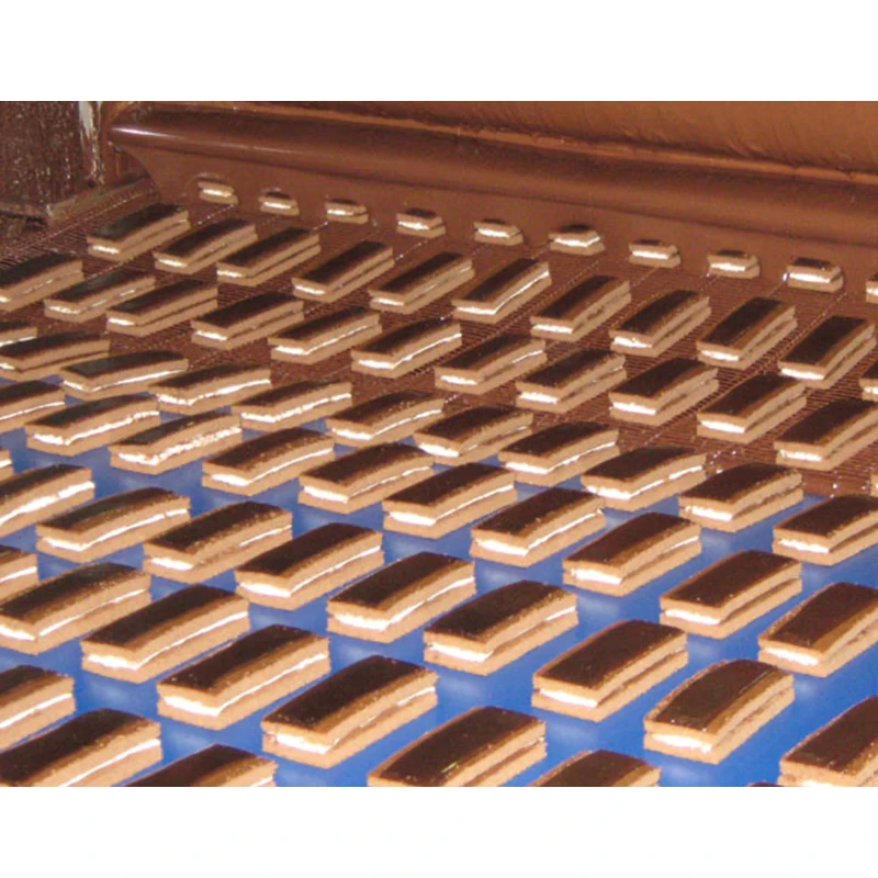 Transfer Conveyor for Cake Production Line