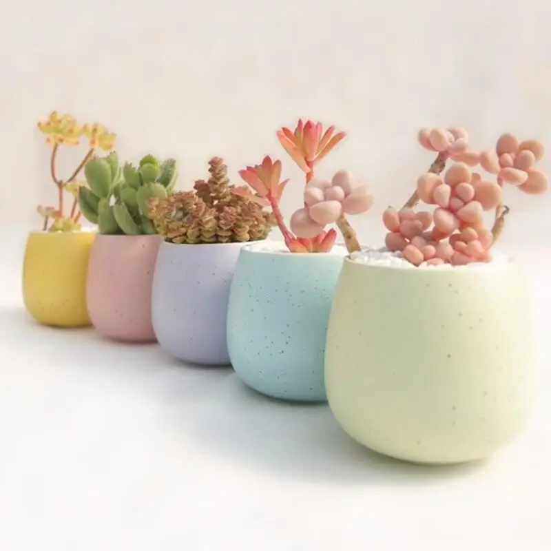 Home Decorative Mini Table Planter Ceramic Succulent Pots For Plants