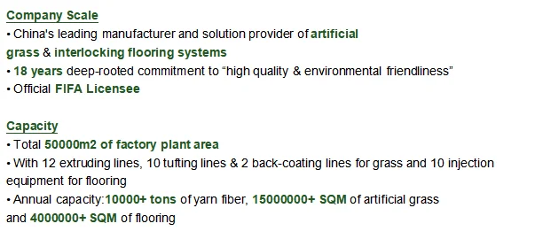 CGT China football field artificial turf suitable for school playground product