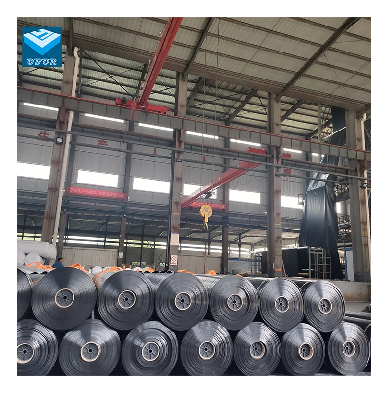 Shrimp Fish Farm Pond Liner HDPE Geomembrane  Dam Water Reservoir Pond Liner Geomembrane