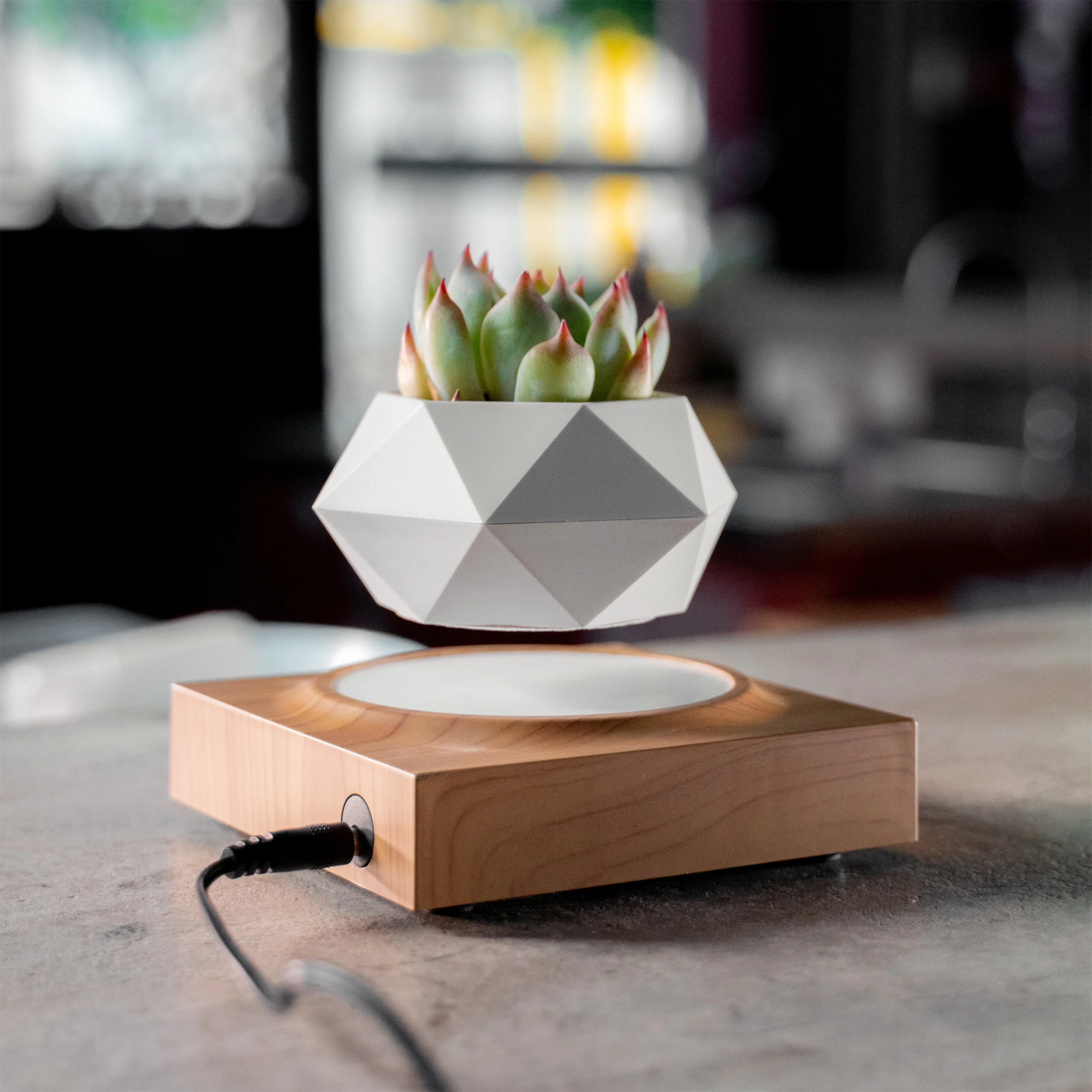 Magnetic Levitating Plant Pot Holder Wood Design Rotating Floating Pot Planter for Home Decorative Pot