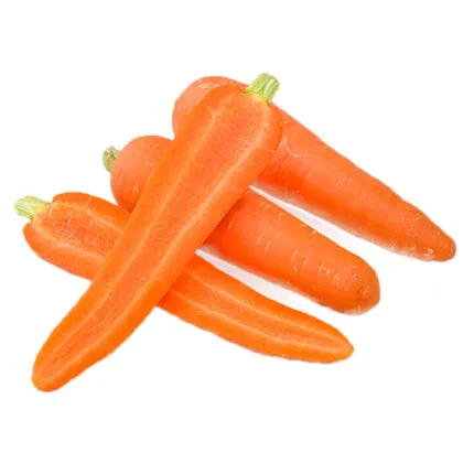 
2020 hot selling Chinese fresh carrot new crop wholesale export 