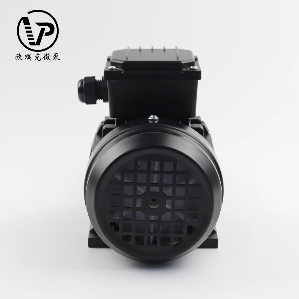 Manufacturer Cheap Price Customized Safe and Stable Food Grade Magnetic Drive AC Gear High Pressure Pump