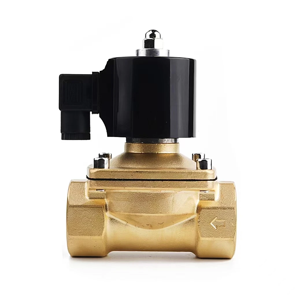 2w direct-acting two way magnetic waterproof gas natural motorized solenoid valve 19mm