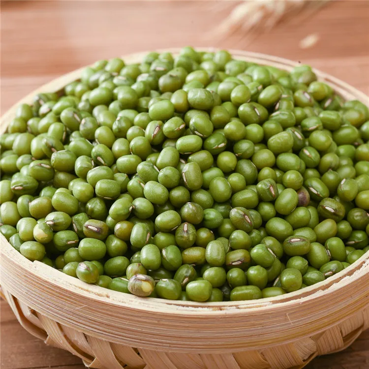  Factory Price Small Mung Bean Vacuum Packing Export Green