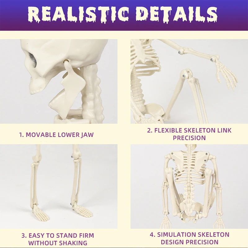 New Arrivals Movable Joints Creepy Props Skeleton Bones Life Size Halloween Skeleton for Festival Party