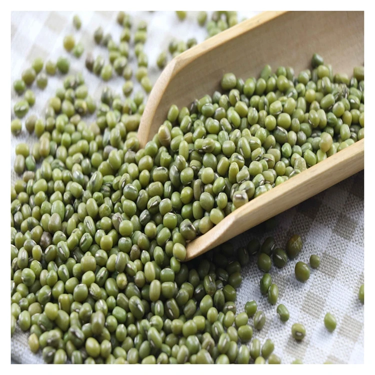 Made in China superior quality export green mung beans dried chinese green mung bean