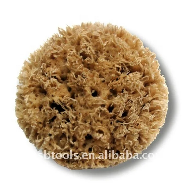 wall decorative natural sea sponge wall texture design hand paint tools sea sponge paint roller brushes