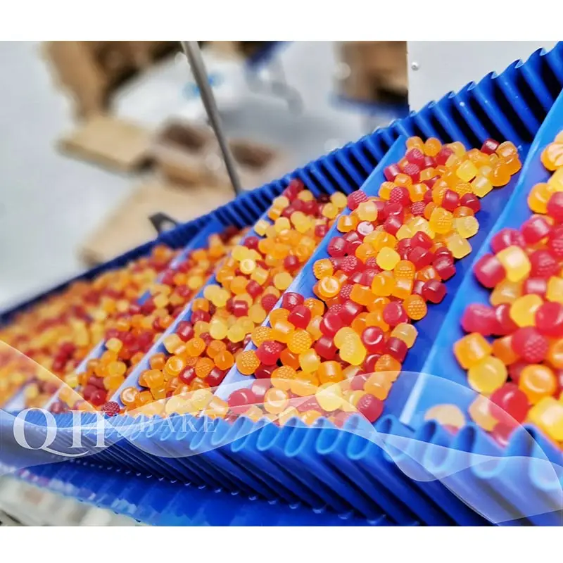 2025 Shanghai QHBAKE Machinery gummy candy and hard candy making machine Jelly depositor machine